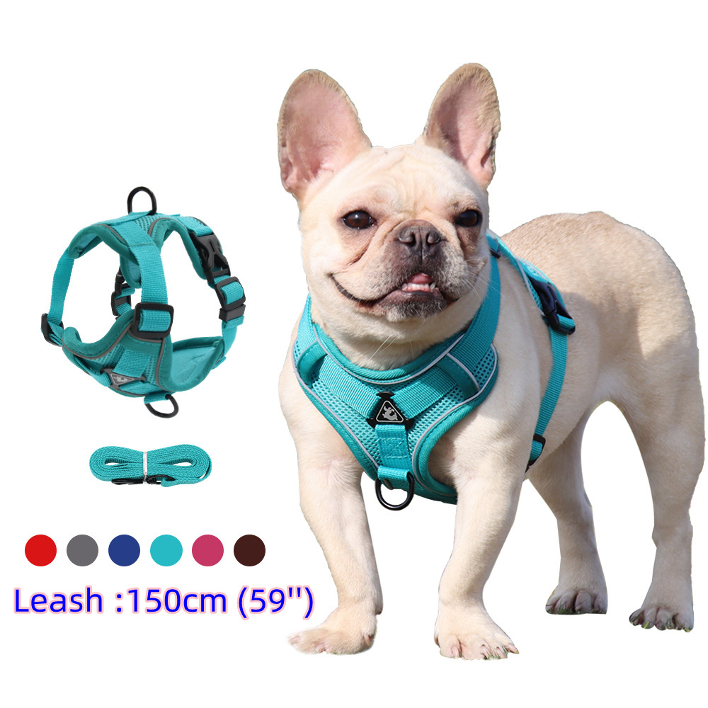 Off White Belt - Harness and Leash Set Pet Accessories