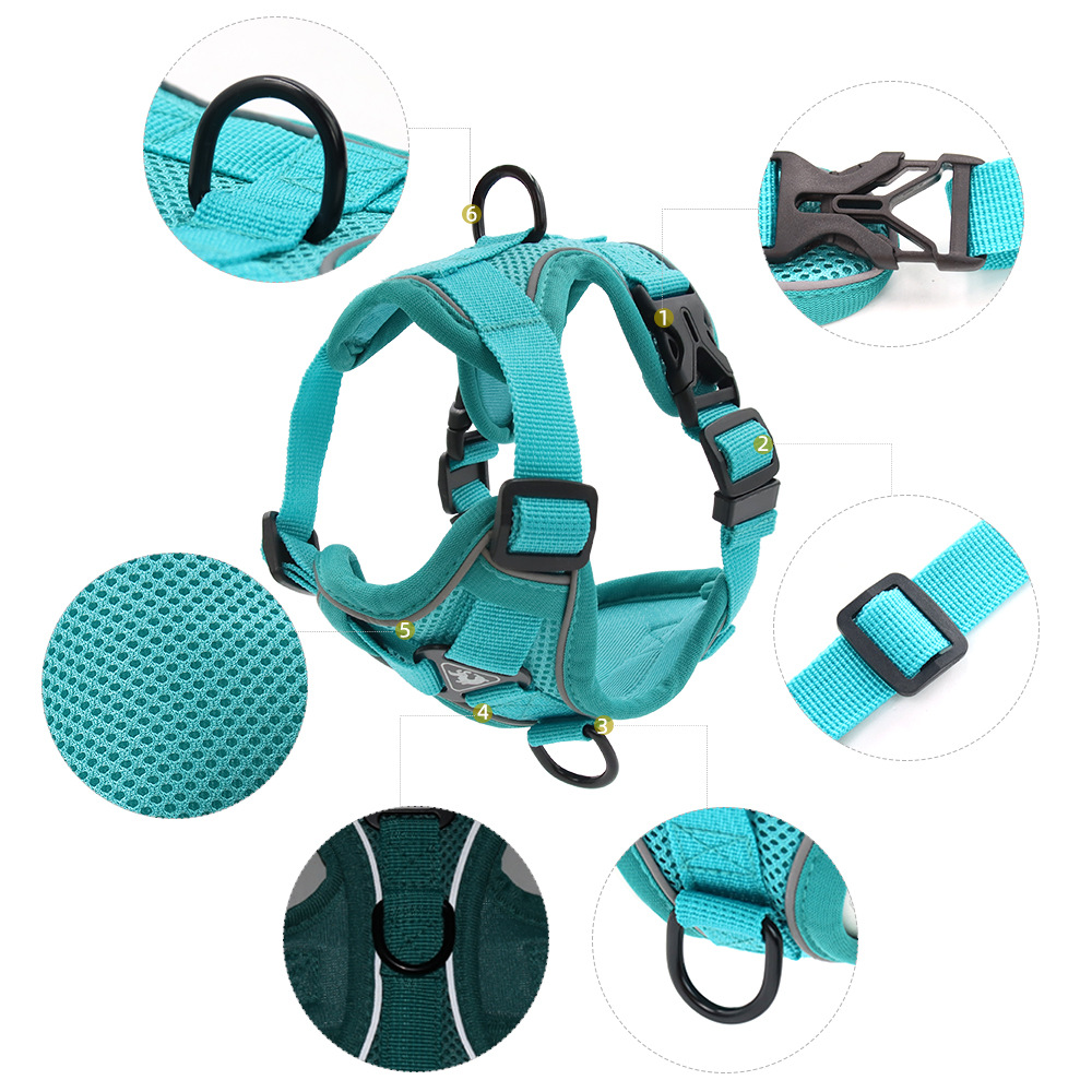 Harness and Leash Set Pet Acce - Off White Belt 评论和价格