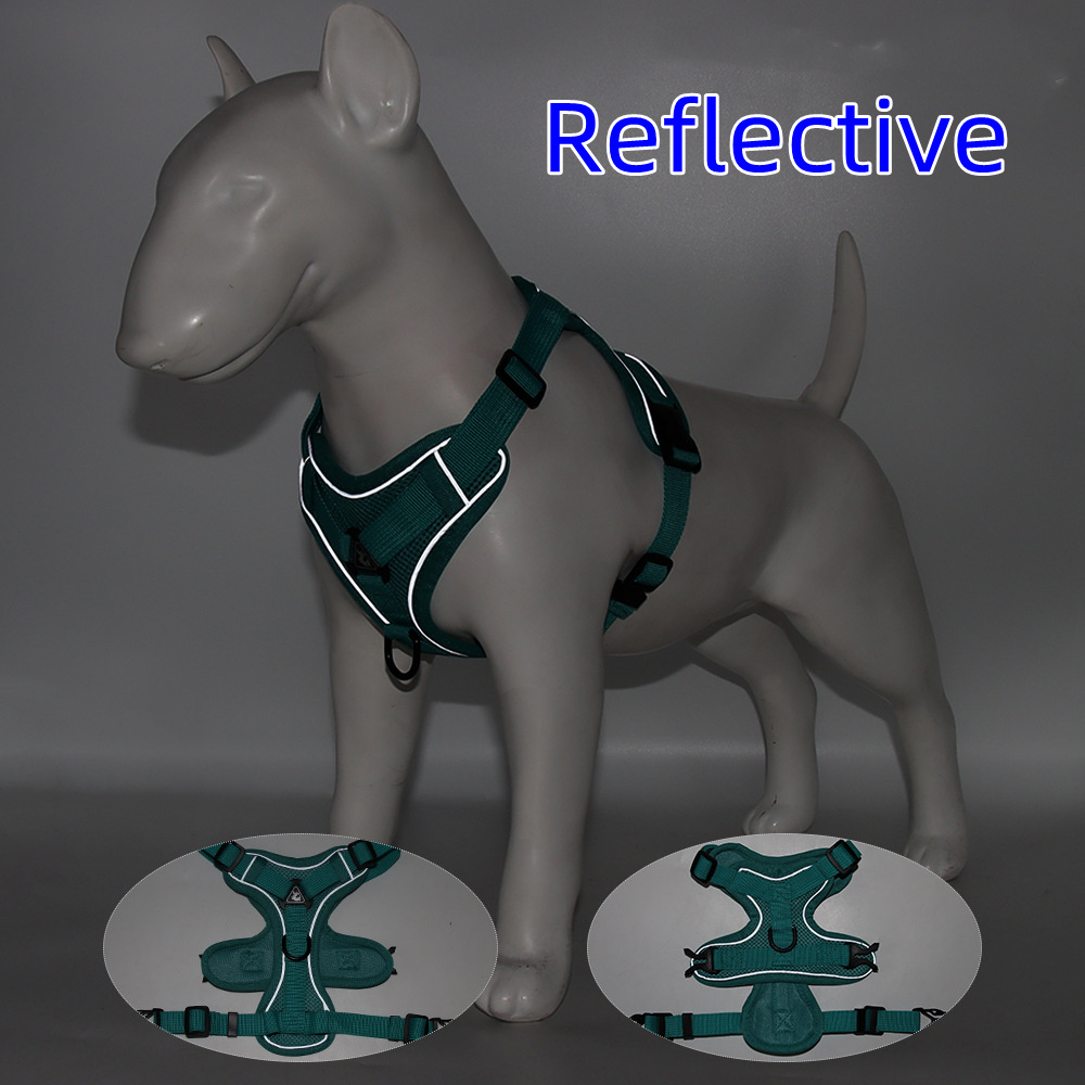 Harness and Leash Set Pet Acce - Off White Belt 评论和价格